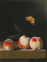 Three Peaches on a Stone Ledge with a Red Admiral Butterfly