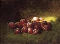 Purple Plums