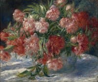 Peonies