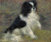 Tama, the Japanese Dog