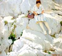 Butterfly on the Rocks