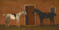 Two race horses tethered outside a stable with a small dog