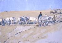 Allenby's White Mice: Feeding the Pack Donkeys: Desert Corps HQ