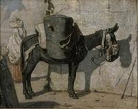 Donkey in the Desert