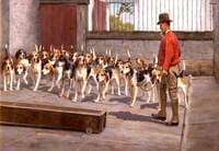 Feeding Time at Holcombe Kennels