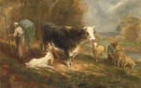 Cow and Goatherd