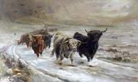 Highland Cattle (after Joseph Denovan Adam)