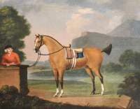 A Dun Horse, with Its Groom