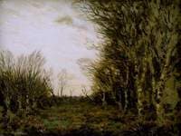 Marshy Land, Kent