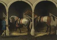 Horses in a Stable