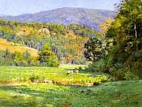 Roan Mountain
