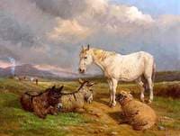 A Common Lot with a Pony, Donkeys and Sheep