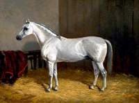 'Akbar Khan'