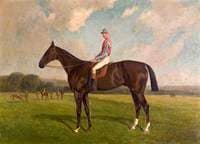 'Friday' with Jockey on a Racecourse