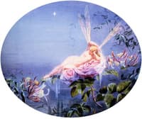 The Evening Star