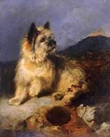 A Terrier by a Rabbit Hole