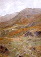 The Fell Side, Haweswater