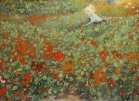 The Garden