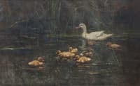 Among the Reeds