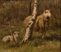 Sheep and Lamb