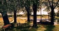 Surlingham Ferry