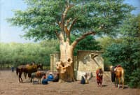 The Well and the Old Sycamore in Cairo