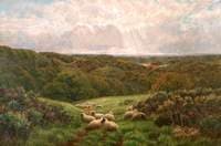 Early Summer