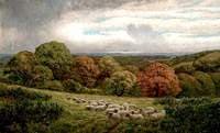 Landscape with Sheep