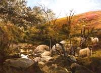 On the Black Burn, near Rothbury, Northumberland