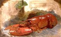 A Lobster (study)