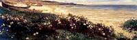 Flowers on the Cliff