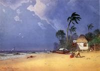 Bahamian Scene