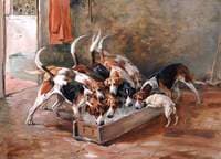 Hounds Feeding
