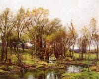 The Brook - Morning