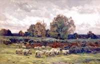 Landscape with Sheep