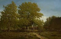 Farm in the Landes