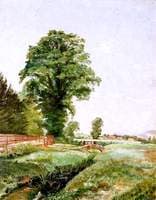 Unidentified Landscape
