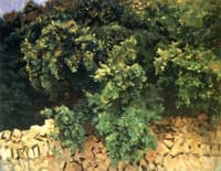 Ilex Wood, Majorca
