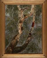 Birch Trunks