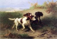 Two Spaniels in a Landscape