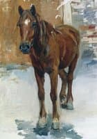 A Horse