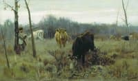 Grazing Cows