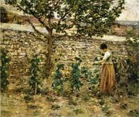 In the Garden