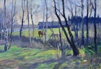 Early Spring