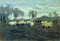 A Cowherd