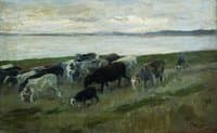 A Flock of Sheep