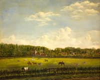 The Outskirts of Haarlem