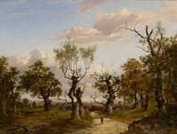 Wooded Landscape