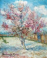 Pink Peach Trees