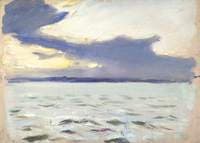 Seascape from the 'Birkdale'